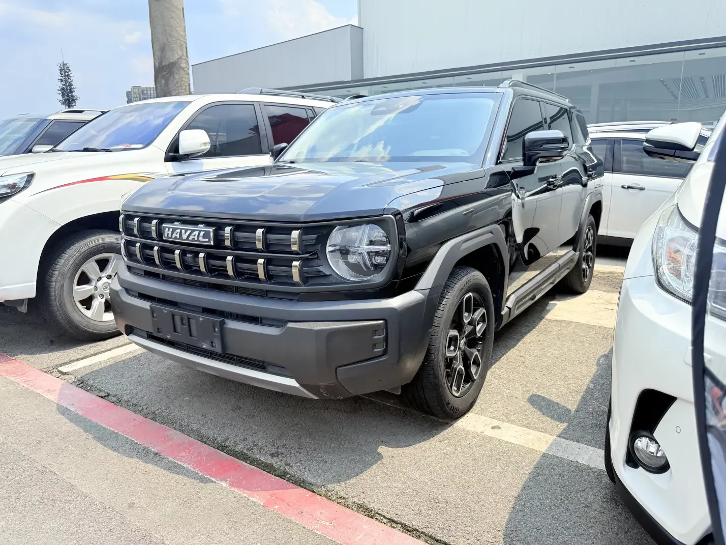 Haval cool dog