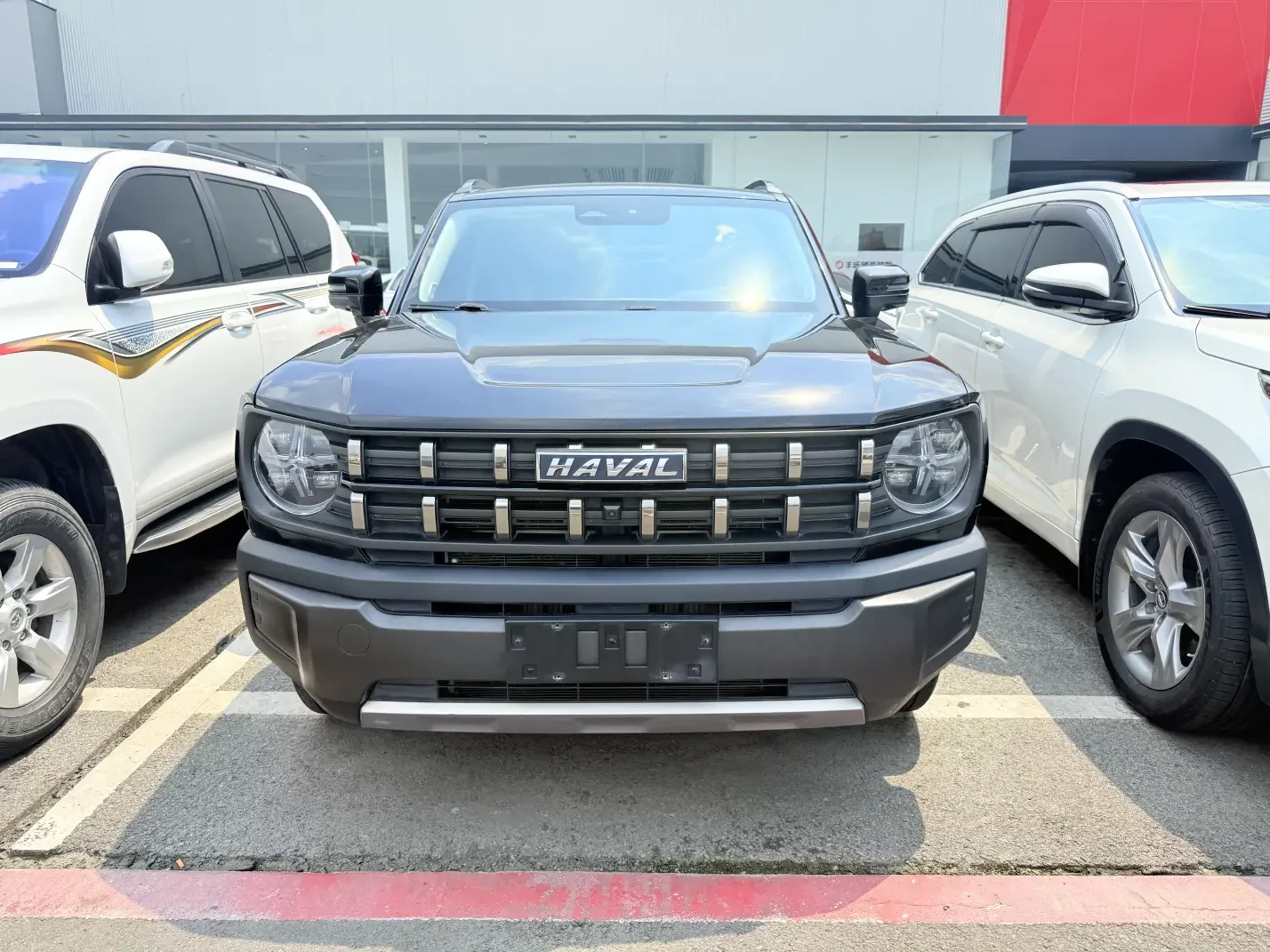 Haval cool dog