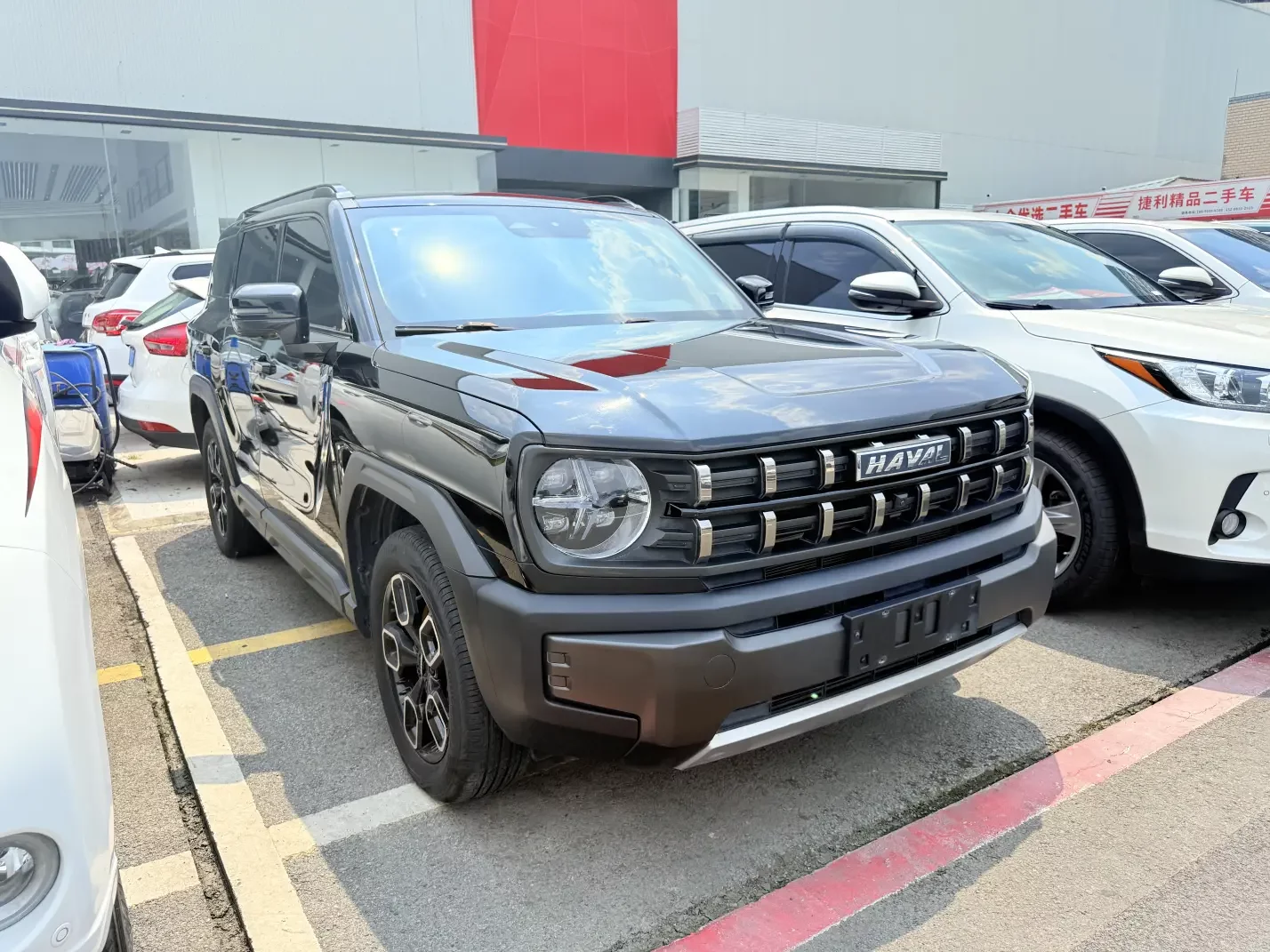 Haval cool dog