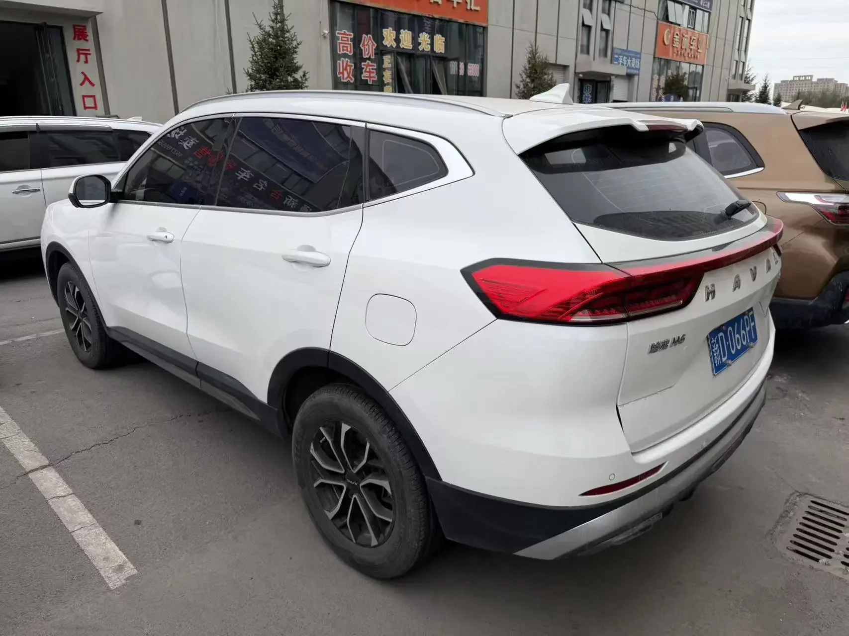 Haval H6