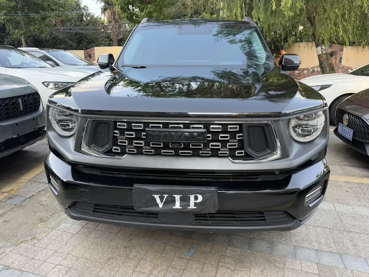 Haval H-Dog (Big Dog PLUS)