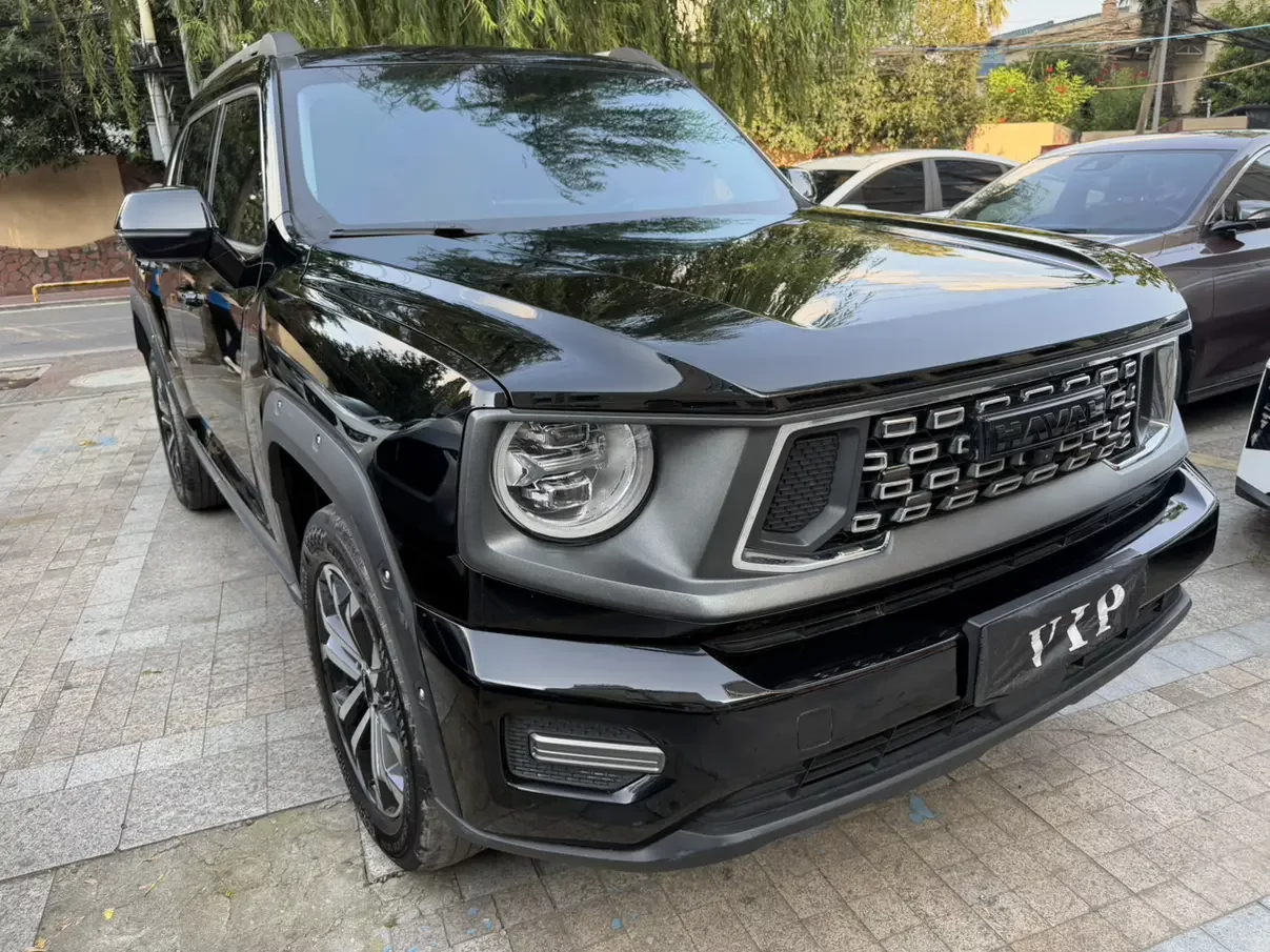 Haval H-Dog (Big Dog PLUS)