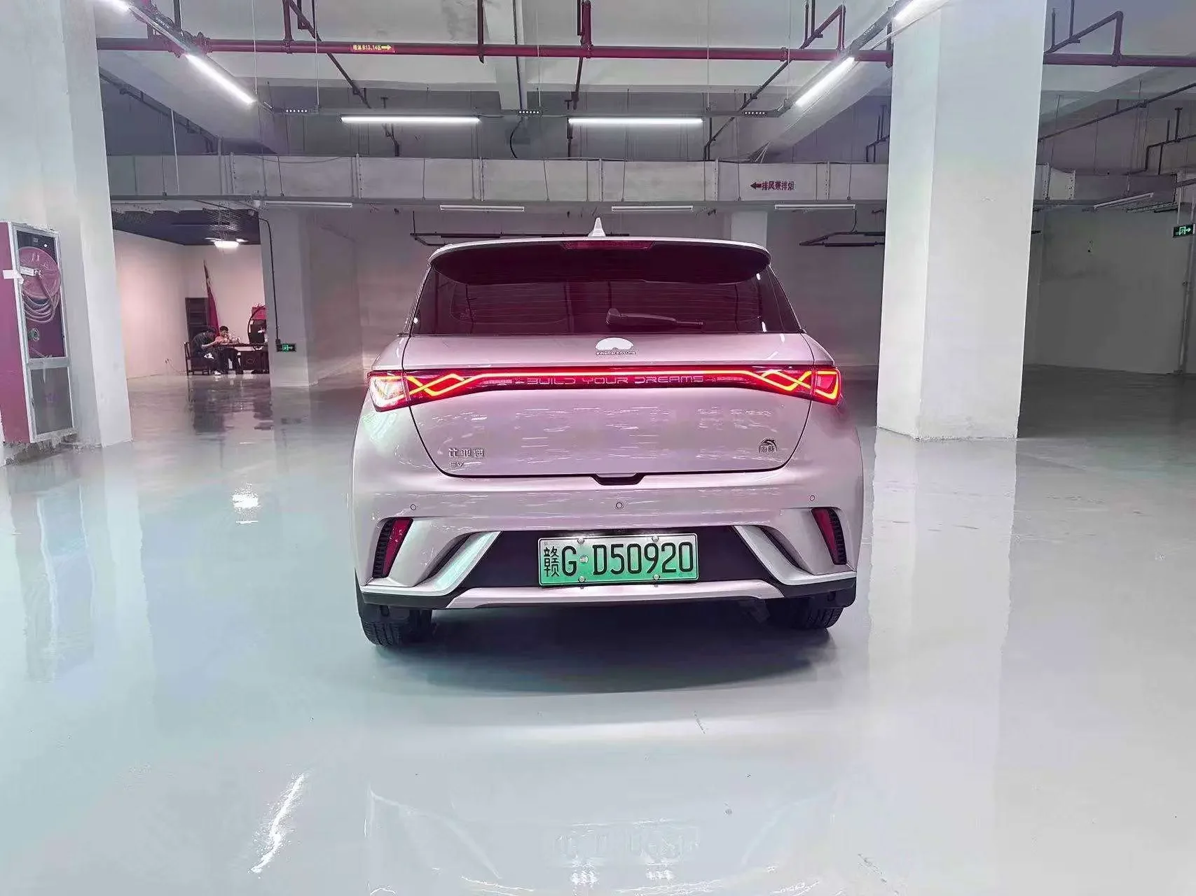 BYD dolphin