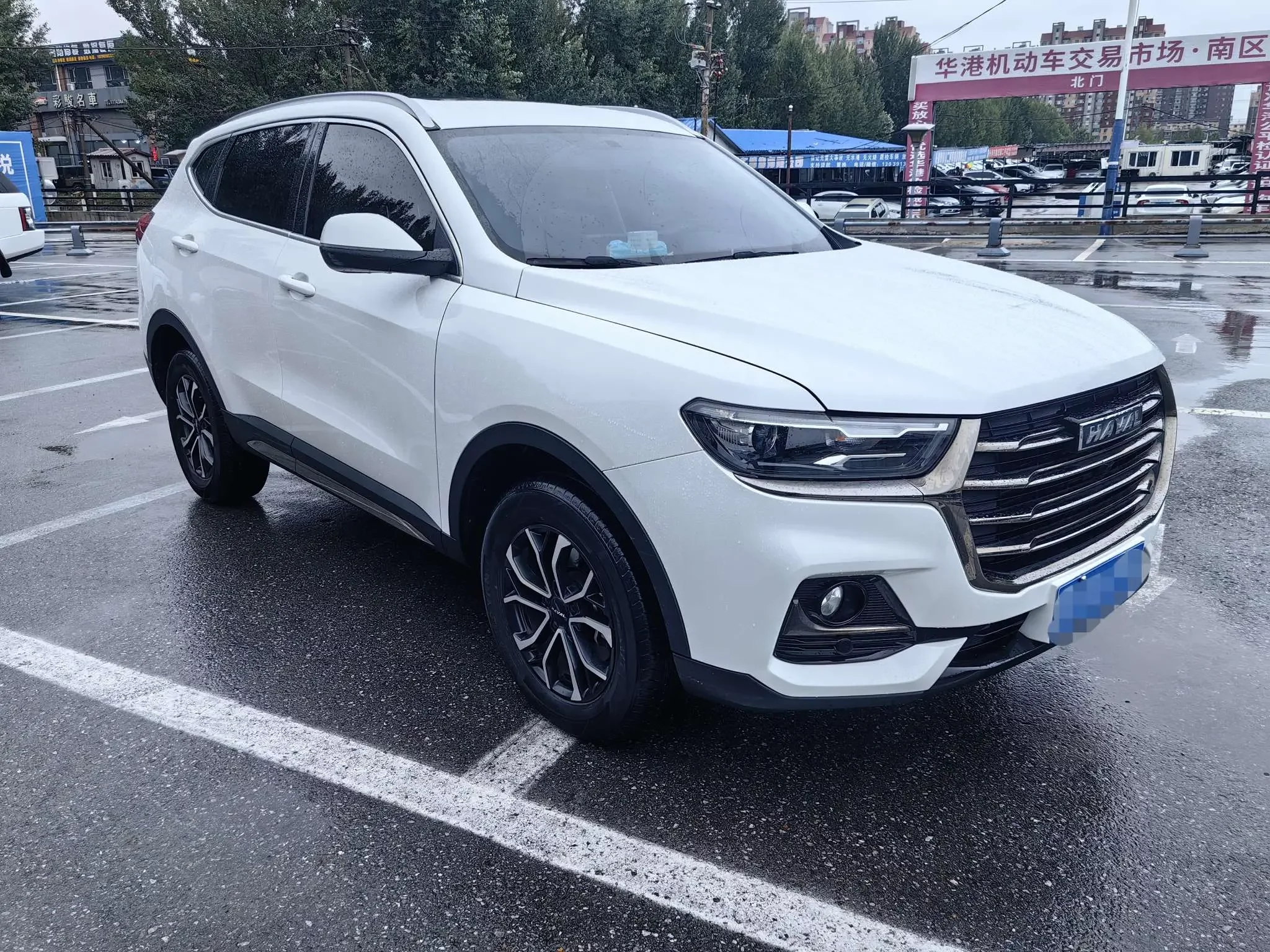 Haval H6