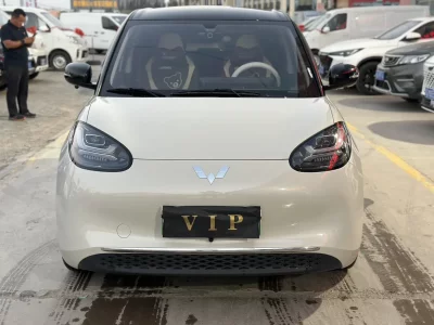 Wuling Bingo