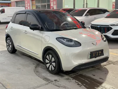 Wuling Bingo