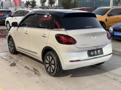 Wuling Bingo