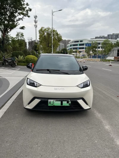 BYD Seagull