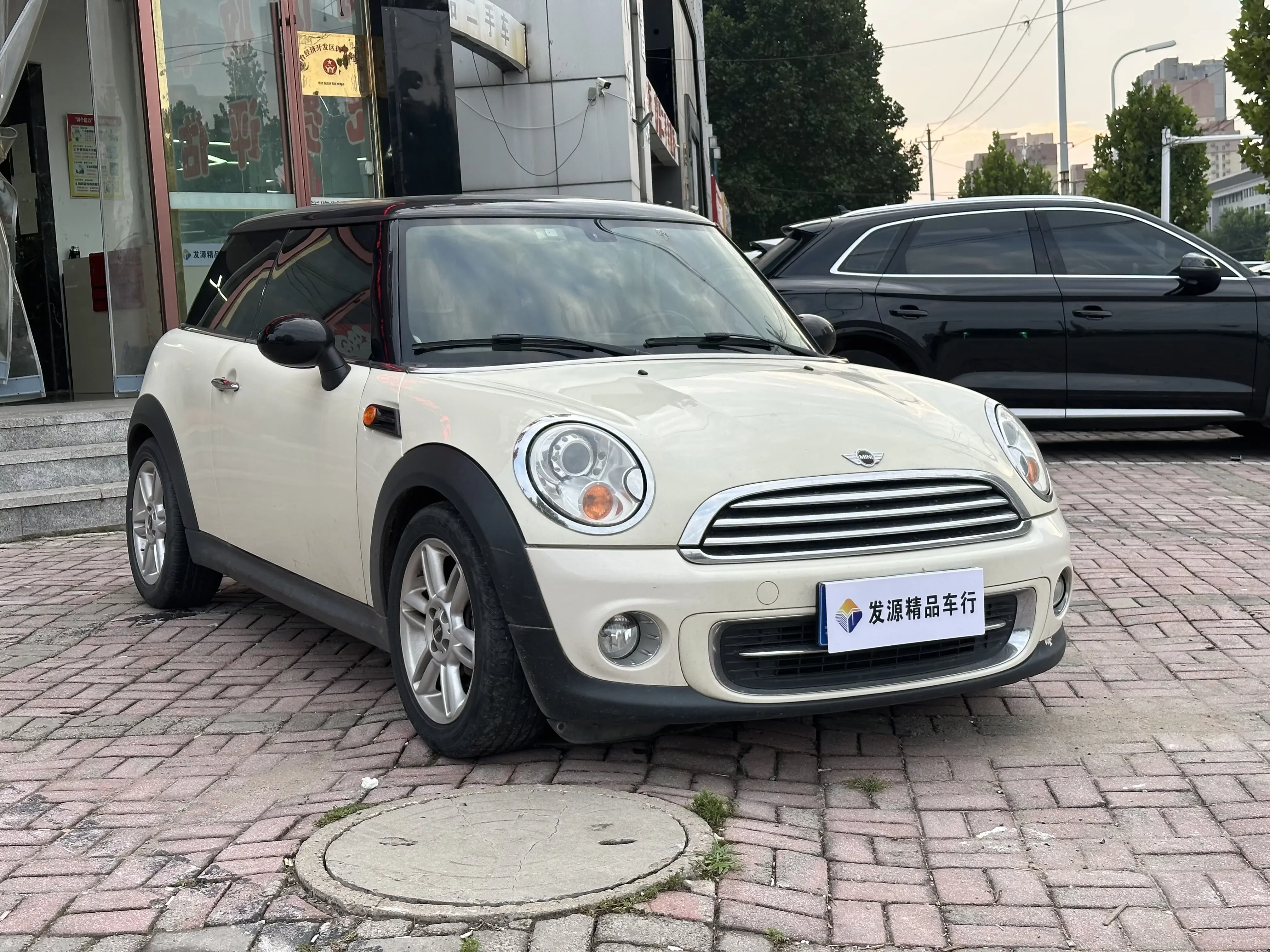 MINI 