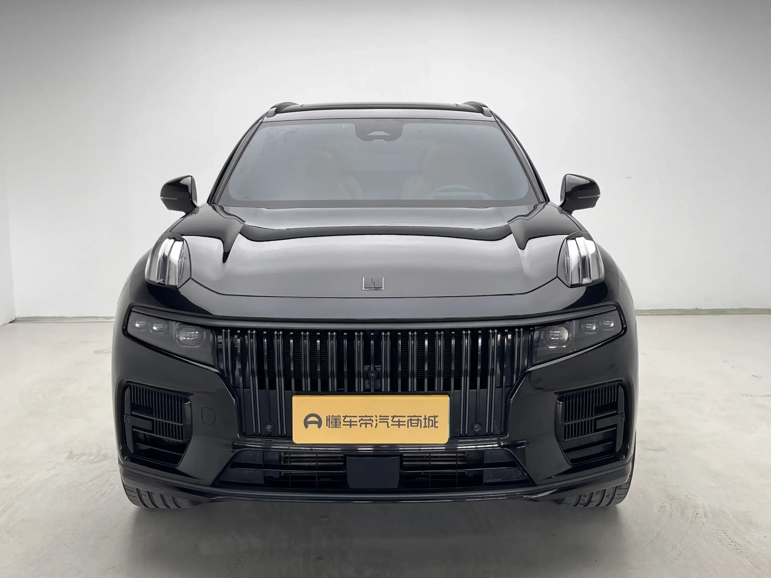 Lynk & Co 09 EM-P