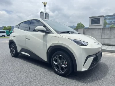 BYD Seagull