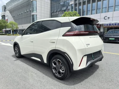 BYD Seagull