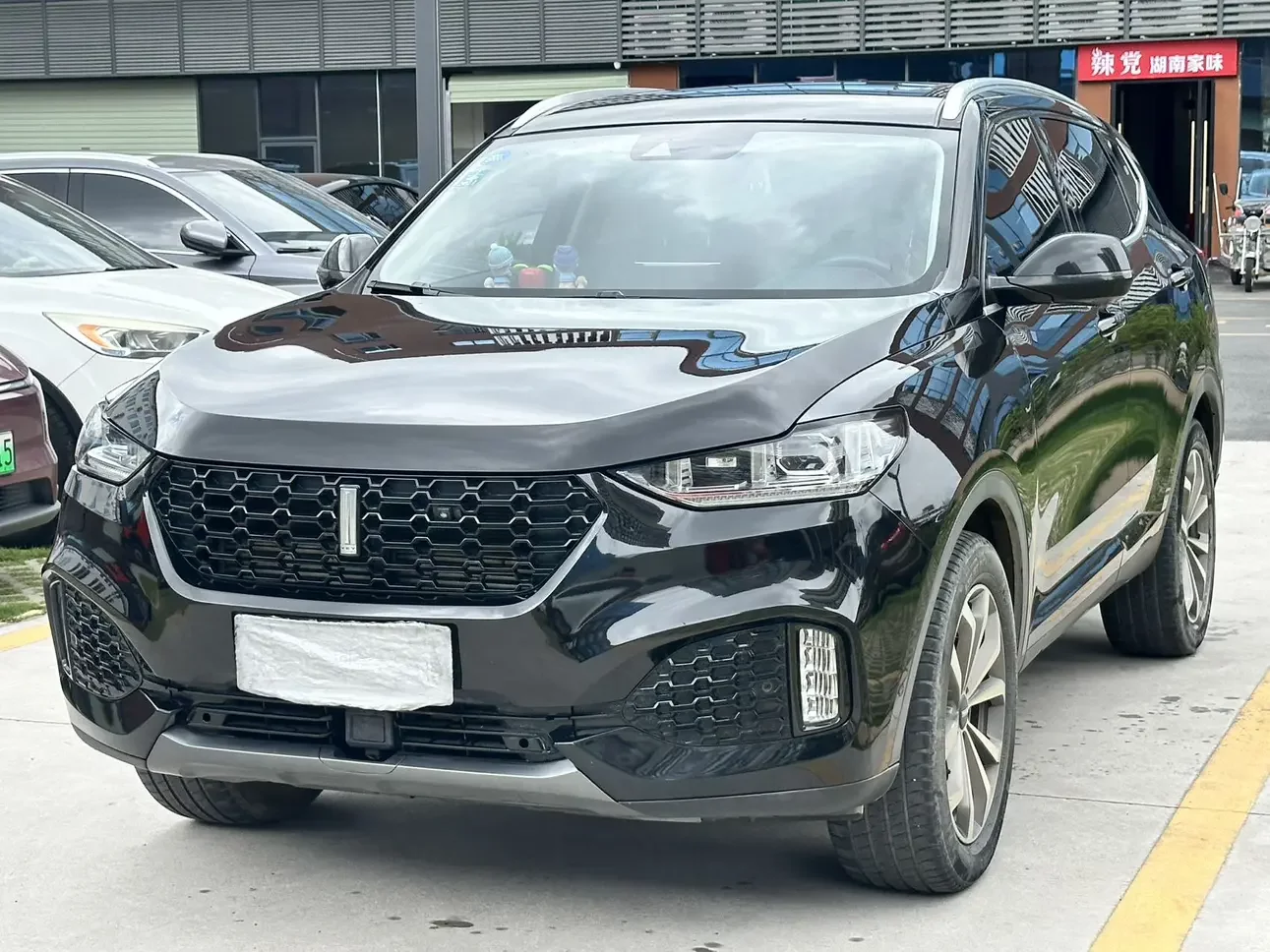 Wey Wei brand VV6