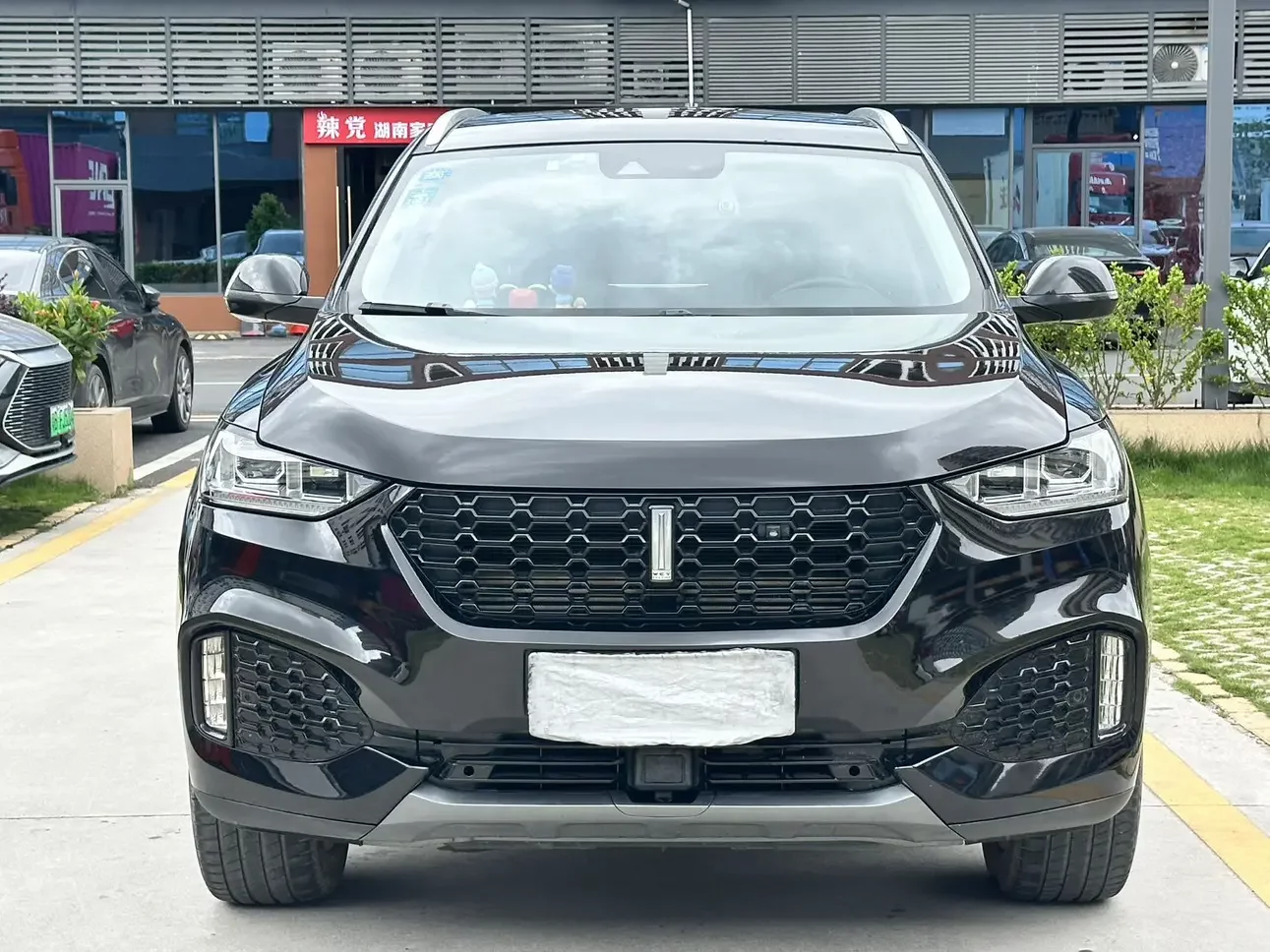 Wey Wei brand VV6