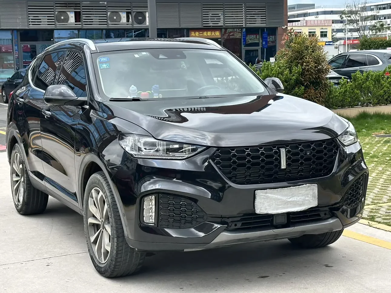 Wey Wei brand VV6