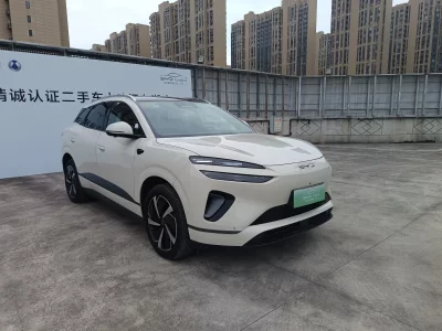BYD Sea Lion 06DM