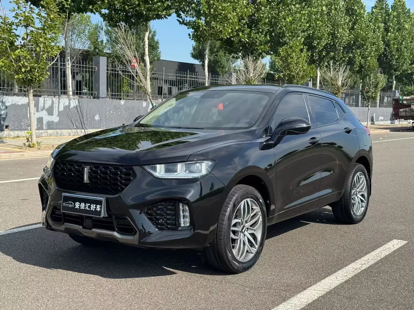 Wey Wei brand VV5