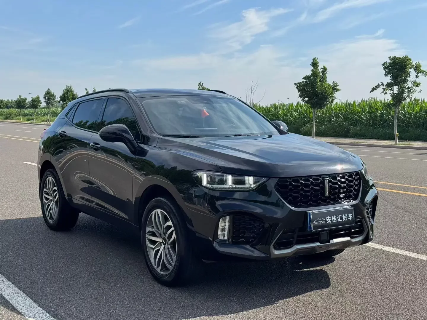 Wey Wei brand VV5