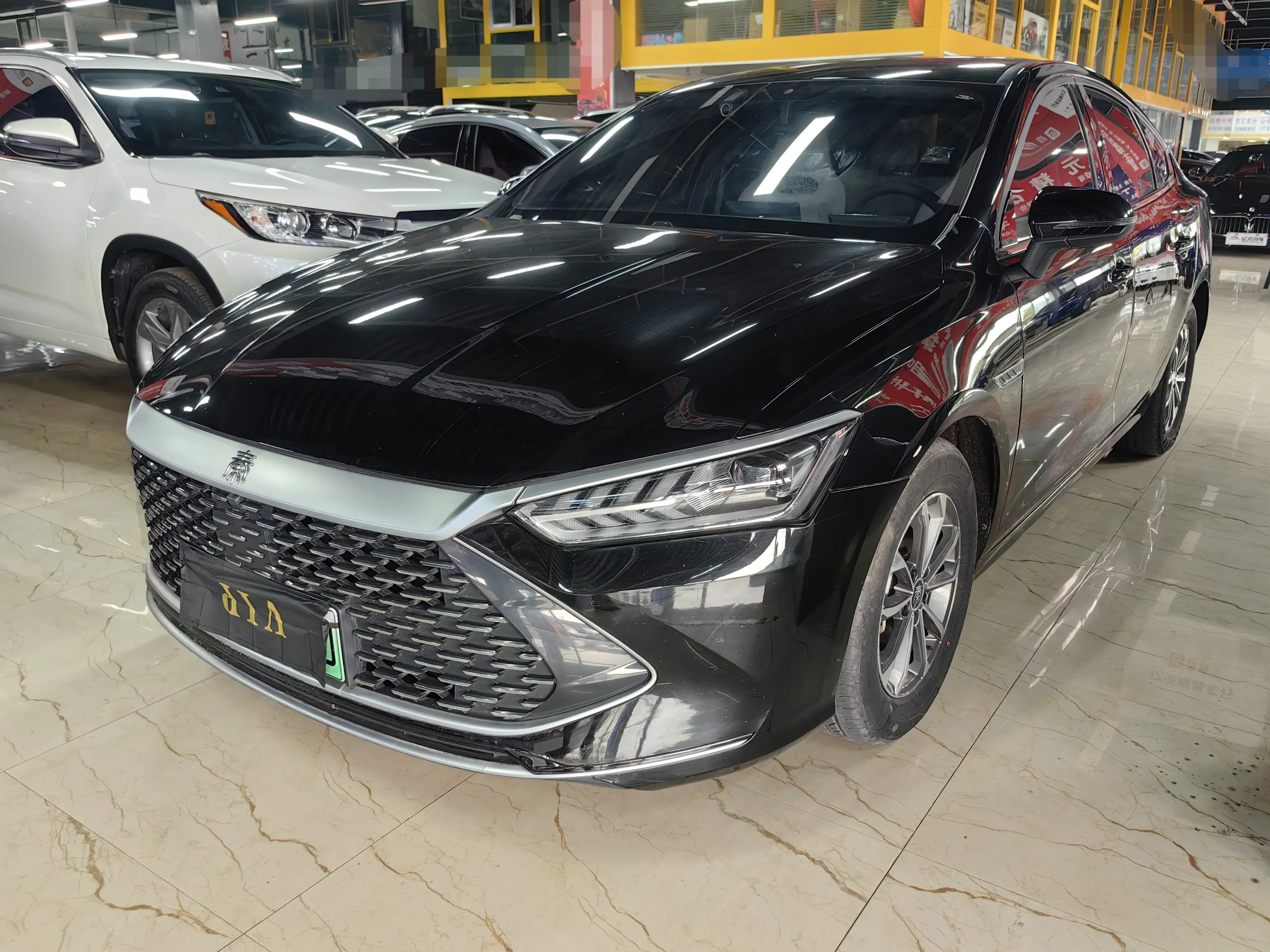 BYD QIN PLUS DM