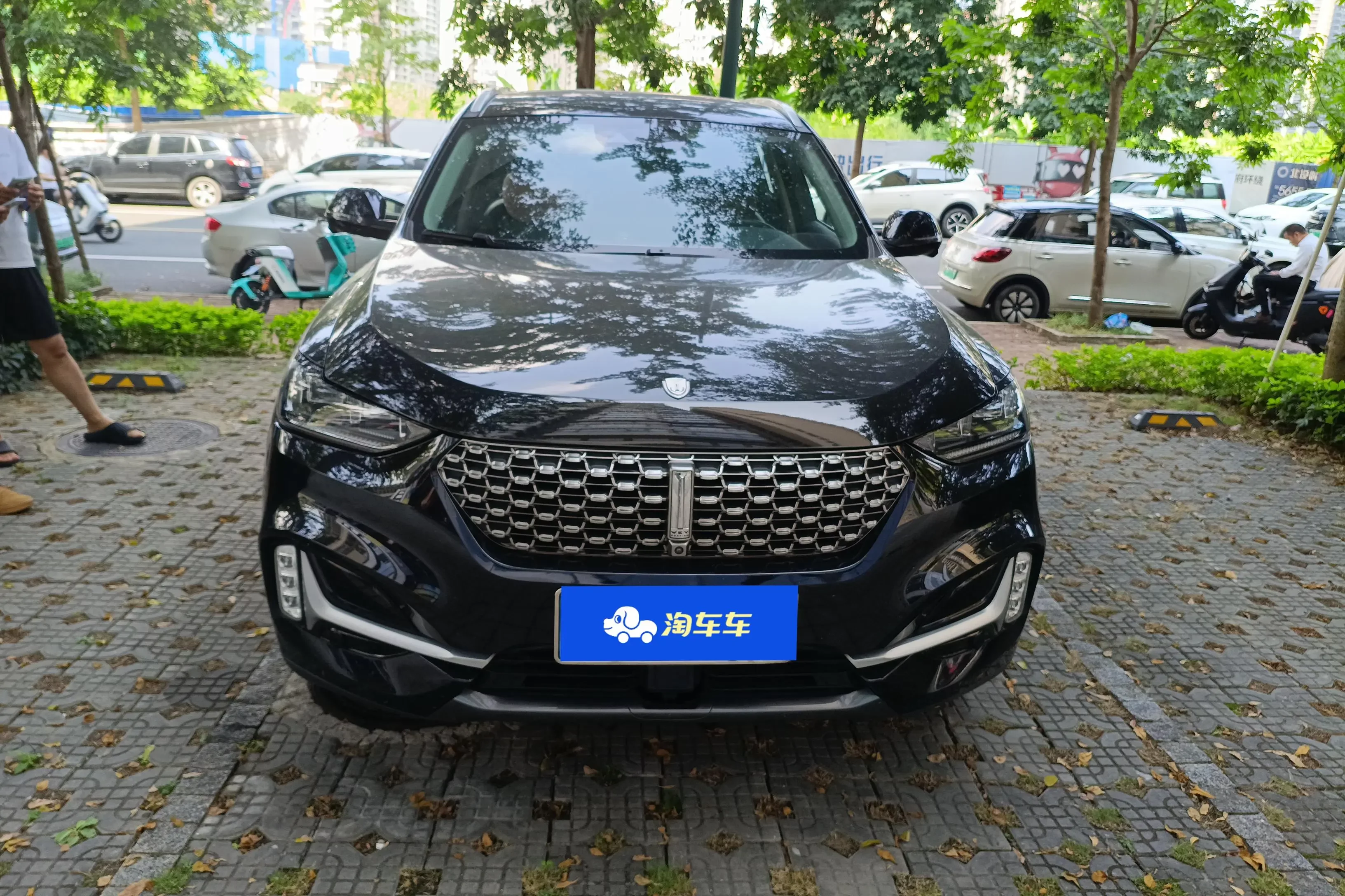 Wey Wei brand VV6