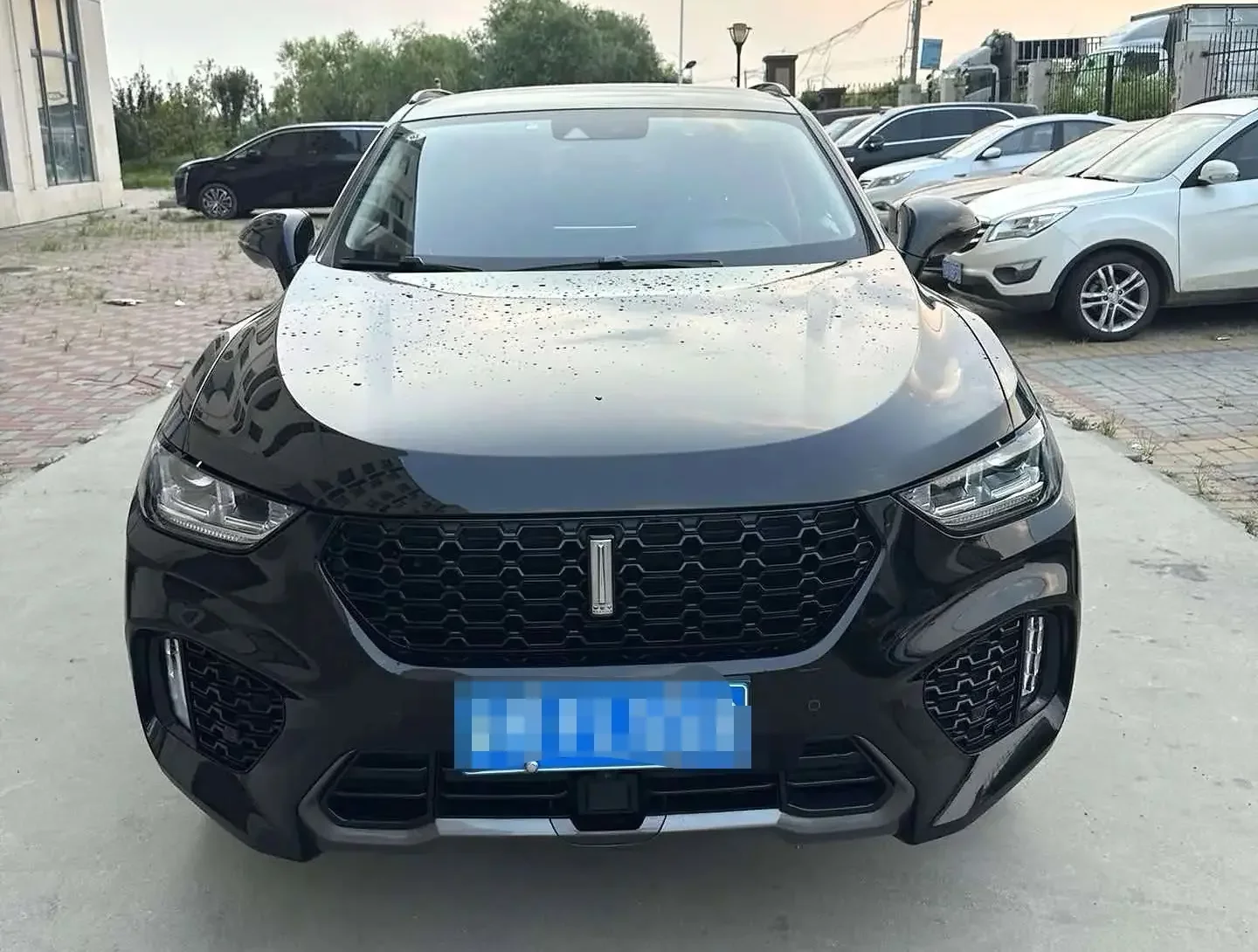 Wey Wei brand VV5