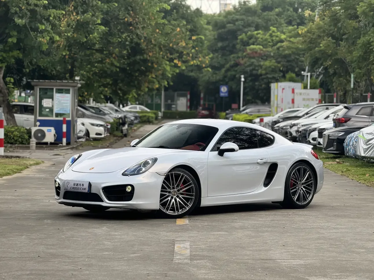 Porsche Cayman
