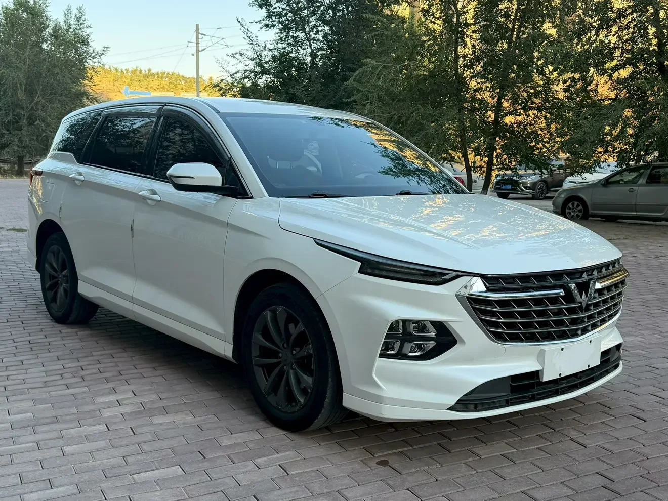 Wuling Capgemini Victory