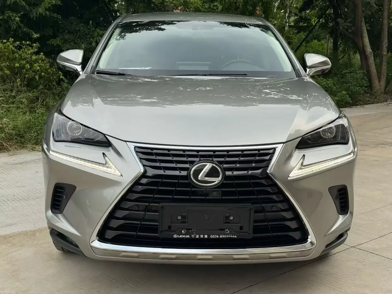 Lexus NX