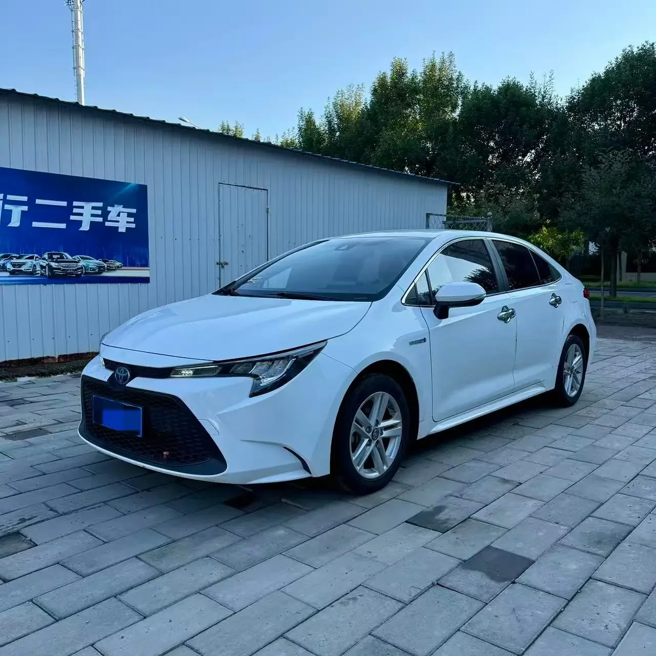 Toyota Levin (Lei Ling)