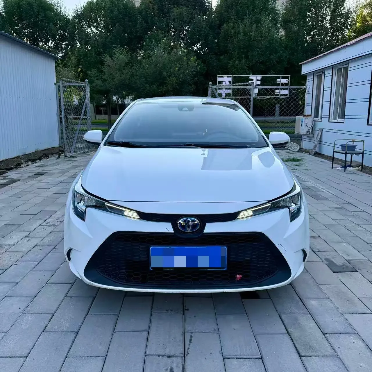 Toyota Levin (Lei Ling)
