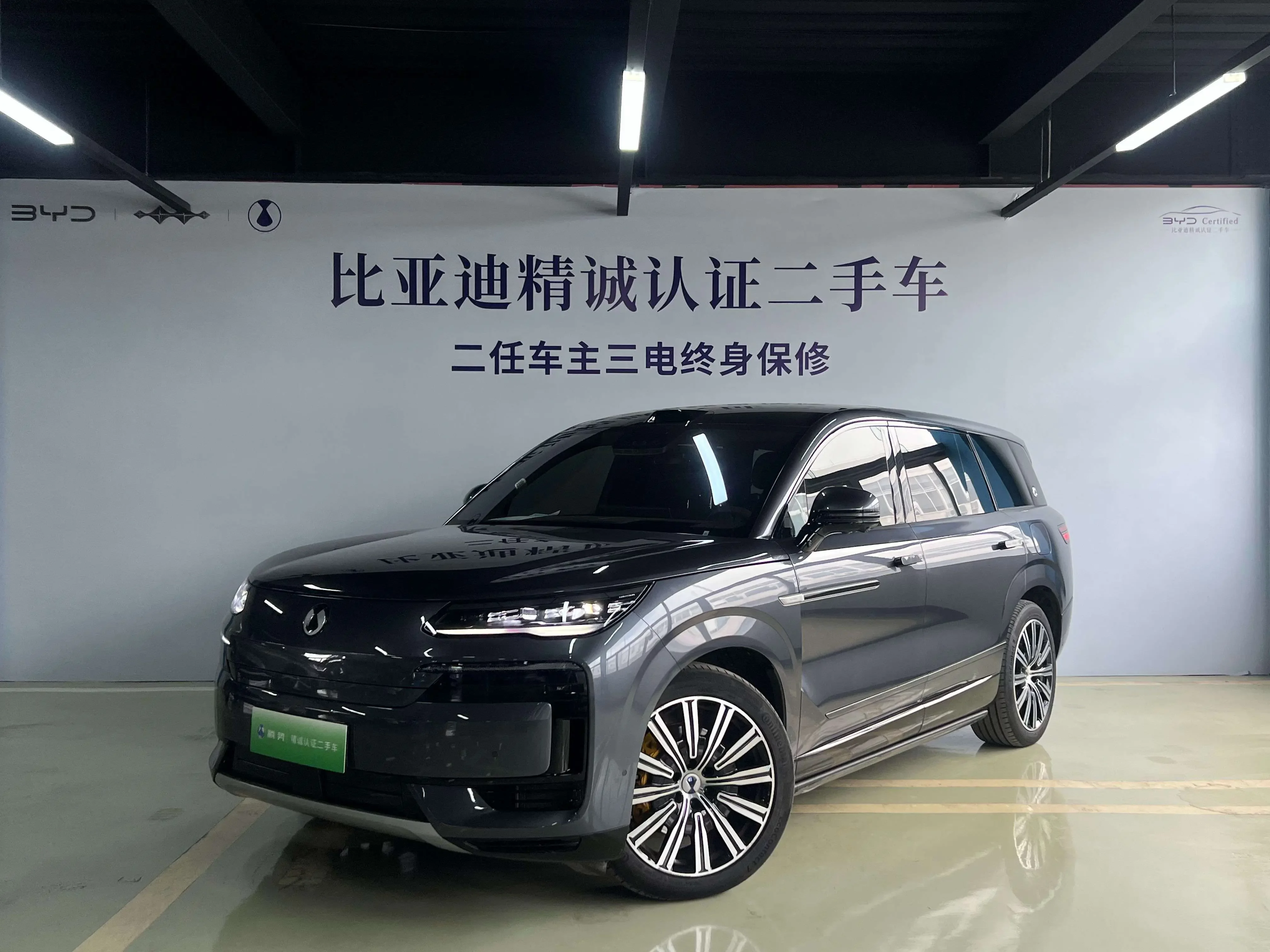 Denza Tengzhong N9 DM