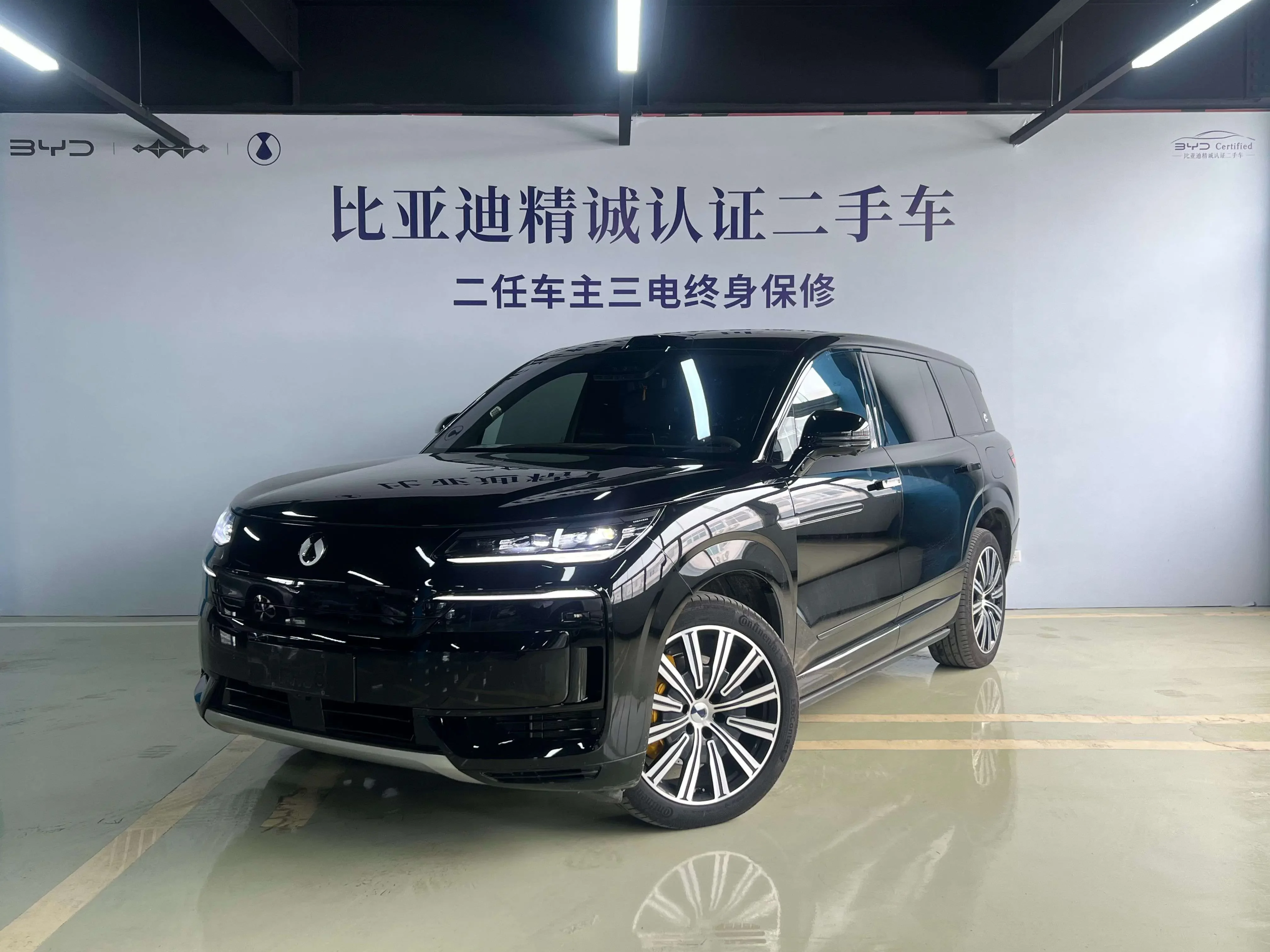 Denza Tengzhong N9 DM