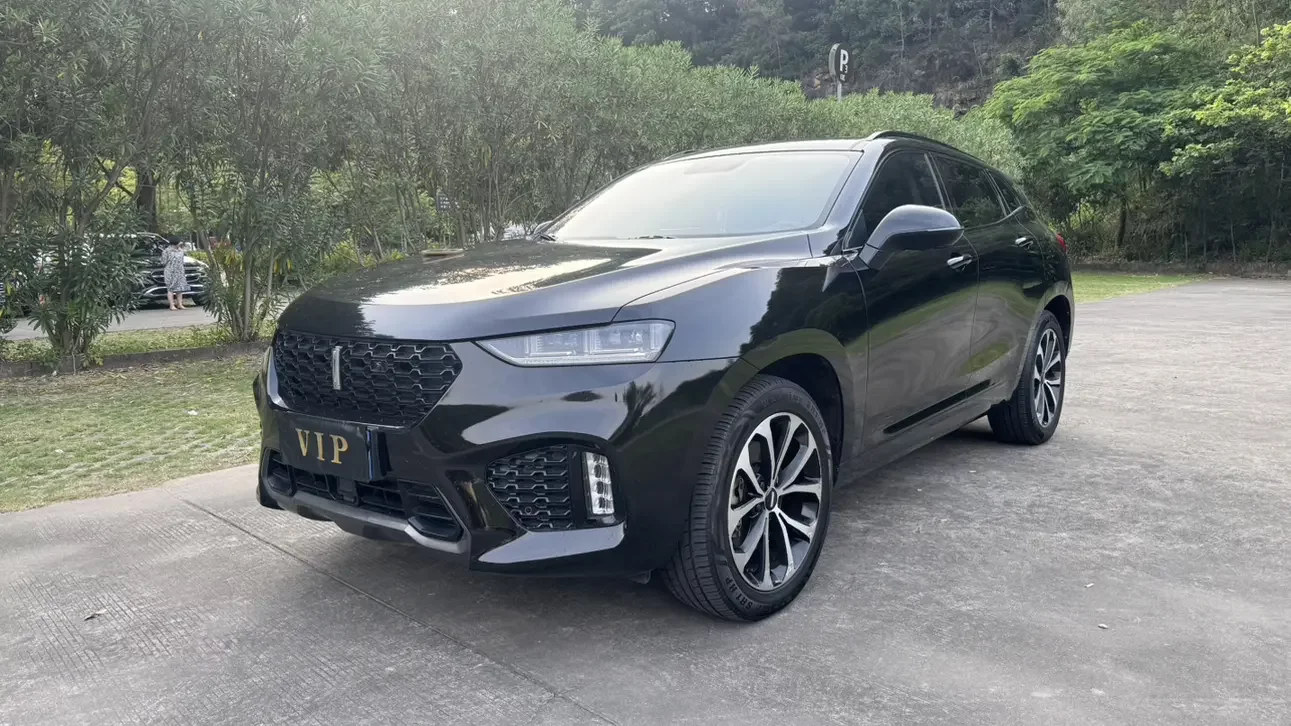 Wey Wei brand VV7
