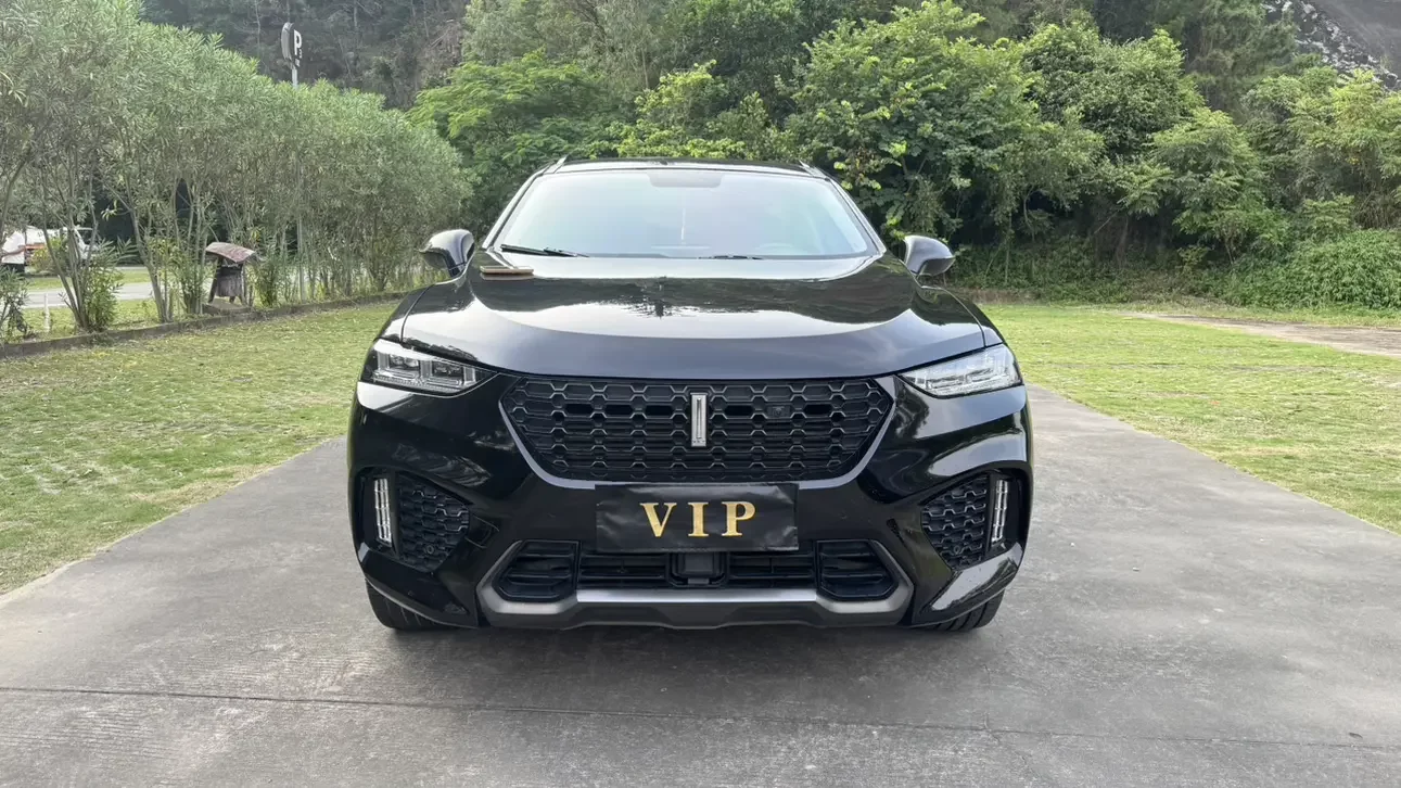 Wey Wei brand VV7