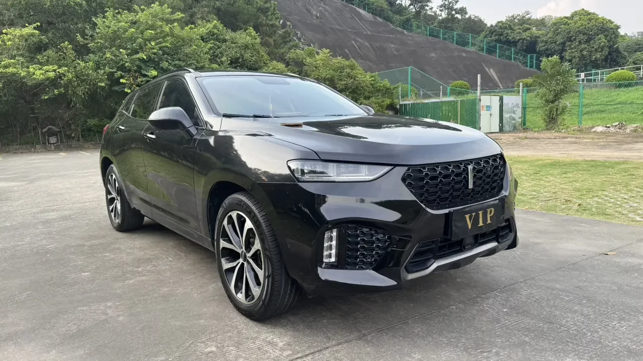 Wey Wei brand VV7