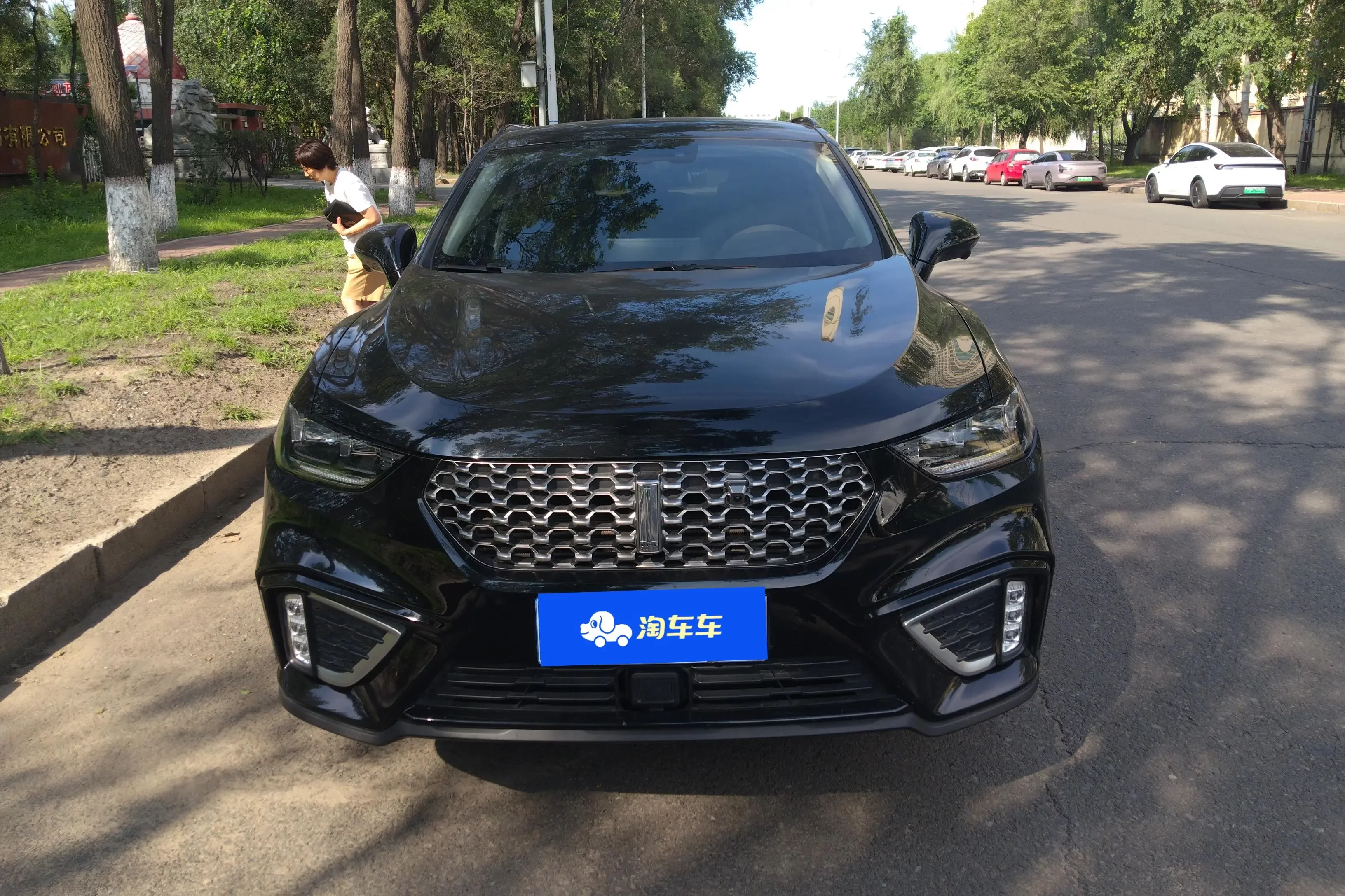 Wey Wei brand VV5