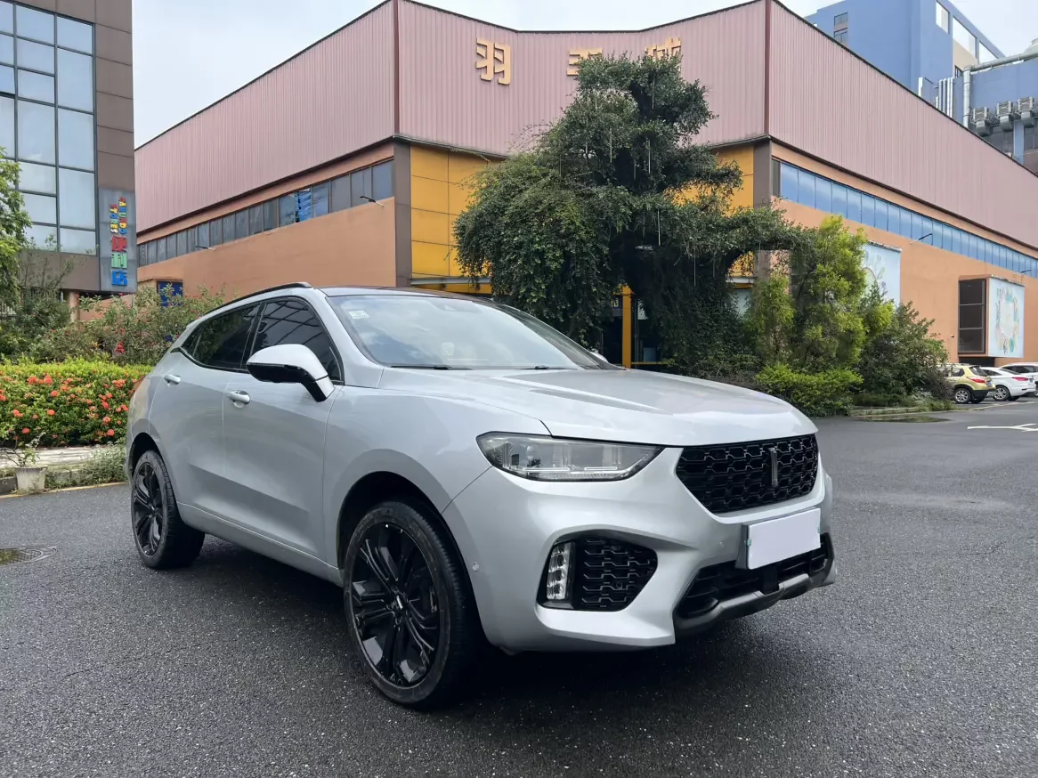 Wey Wei brand VV5