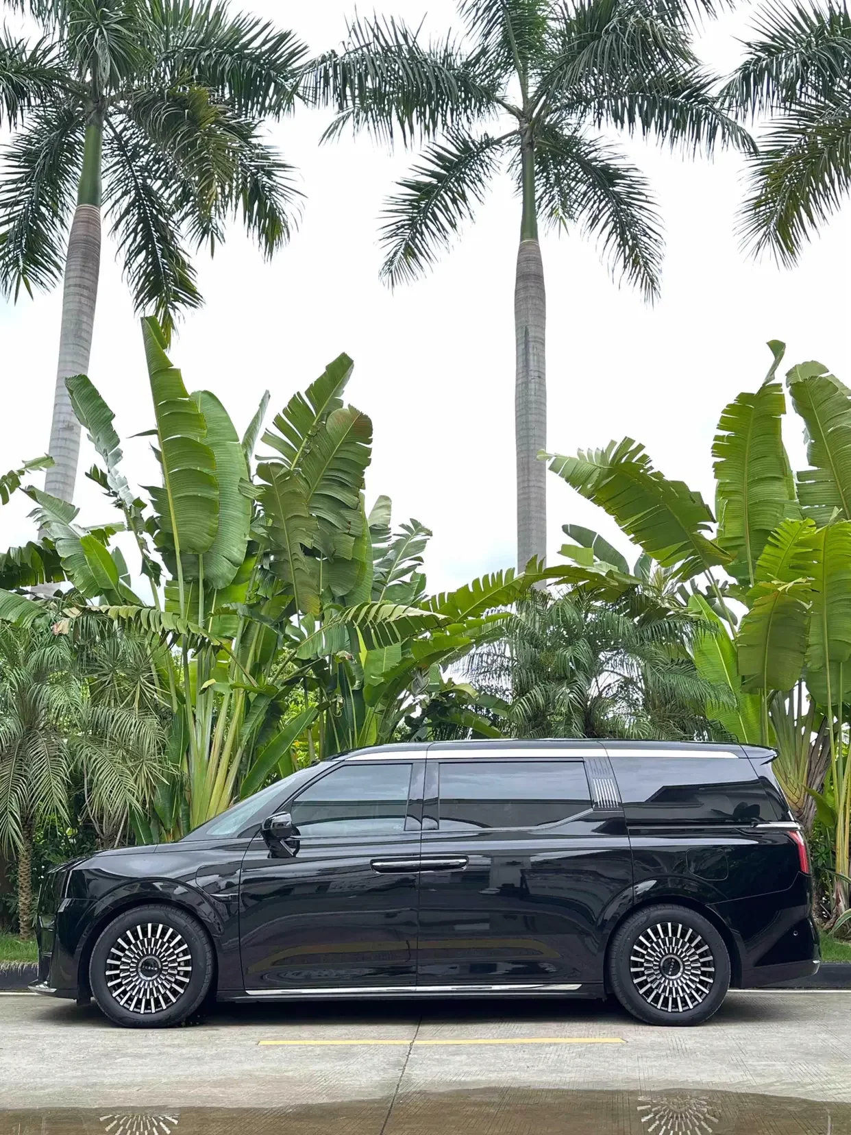 ZEEKR 009