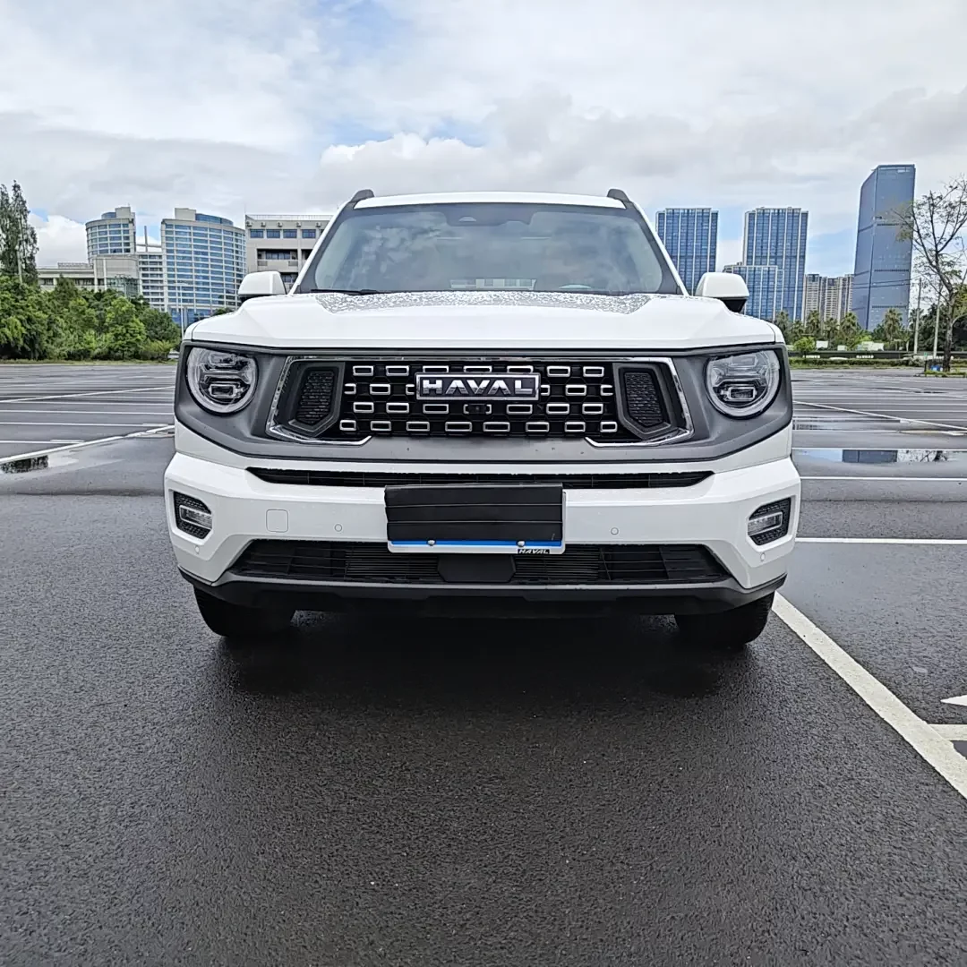 Haval H-Dog (Big Dog PLUS)