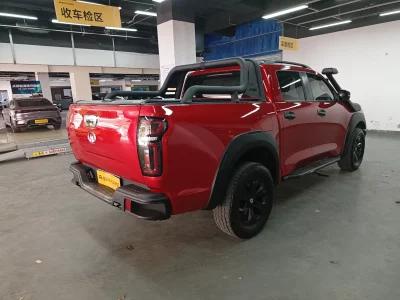 Great Wall Poer (gun)