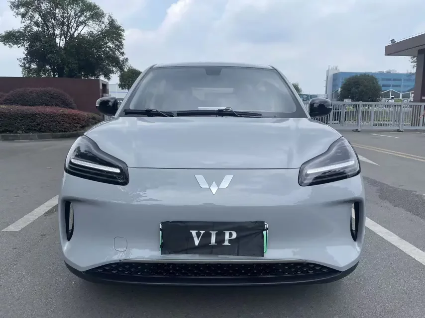 Wuling Bingo PLUS