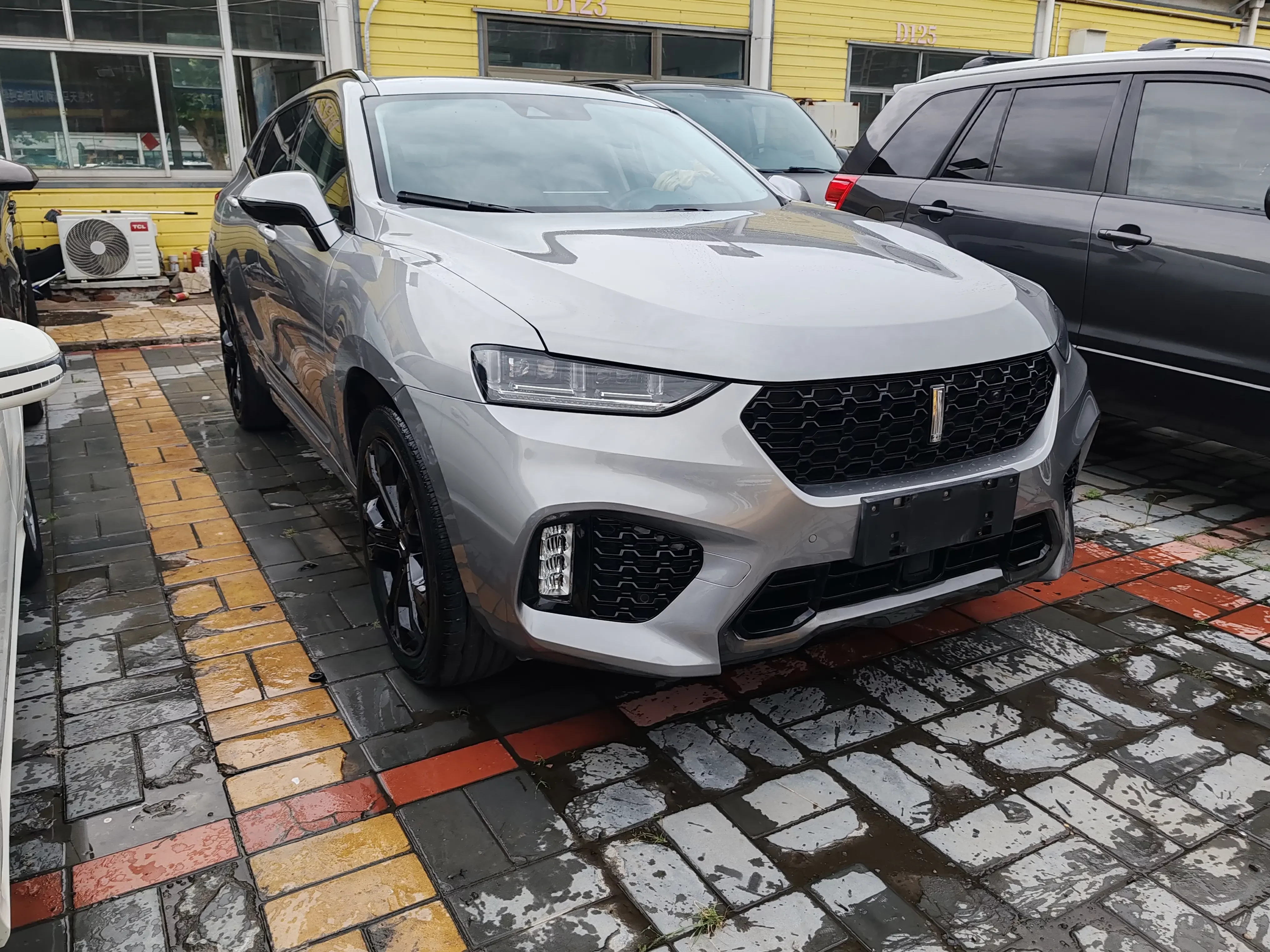 Wey Wei brand VV7