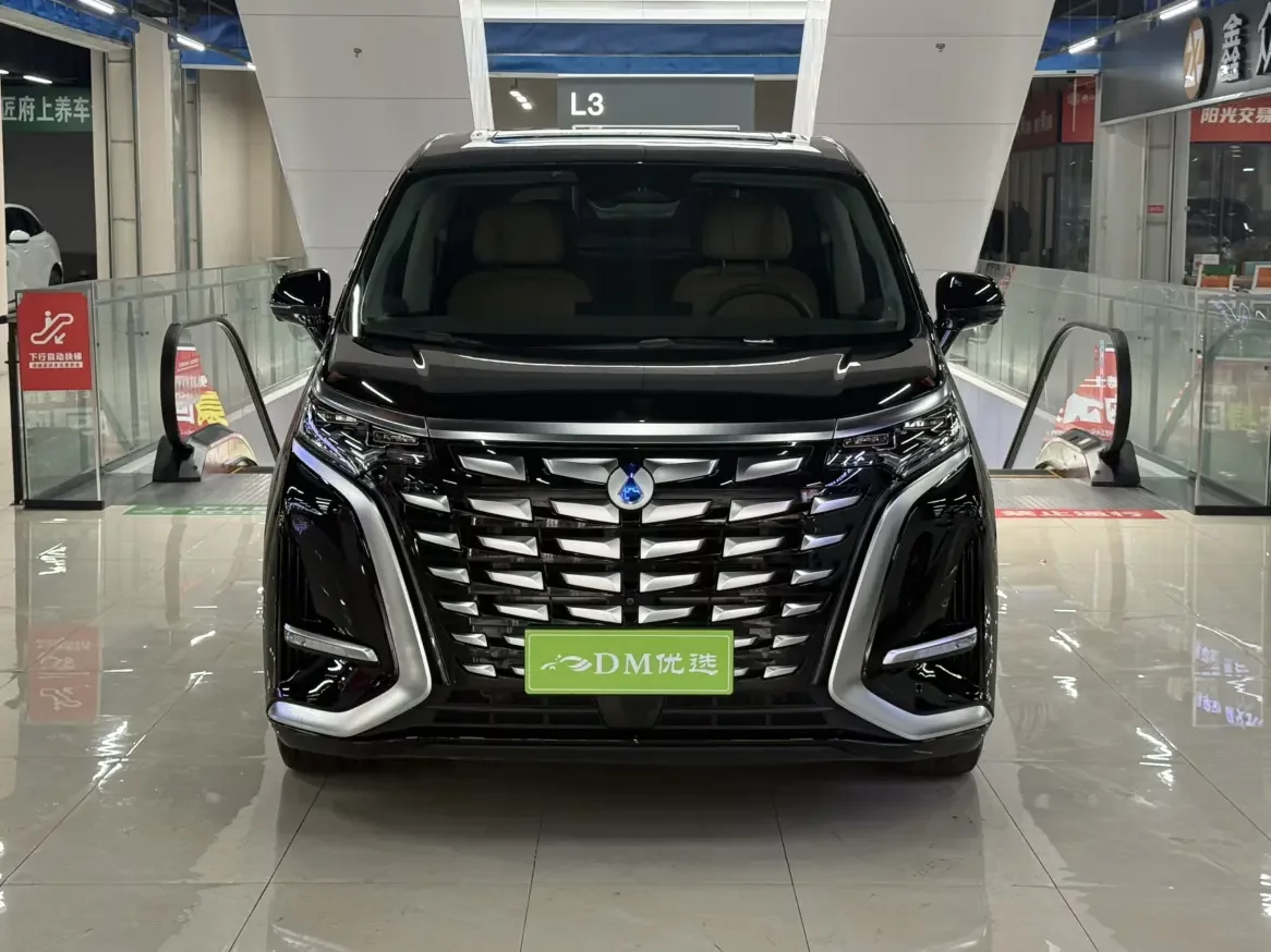 Denza D9 DM