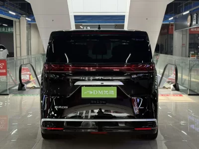 Denza D9 DM