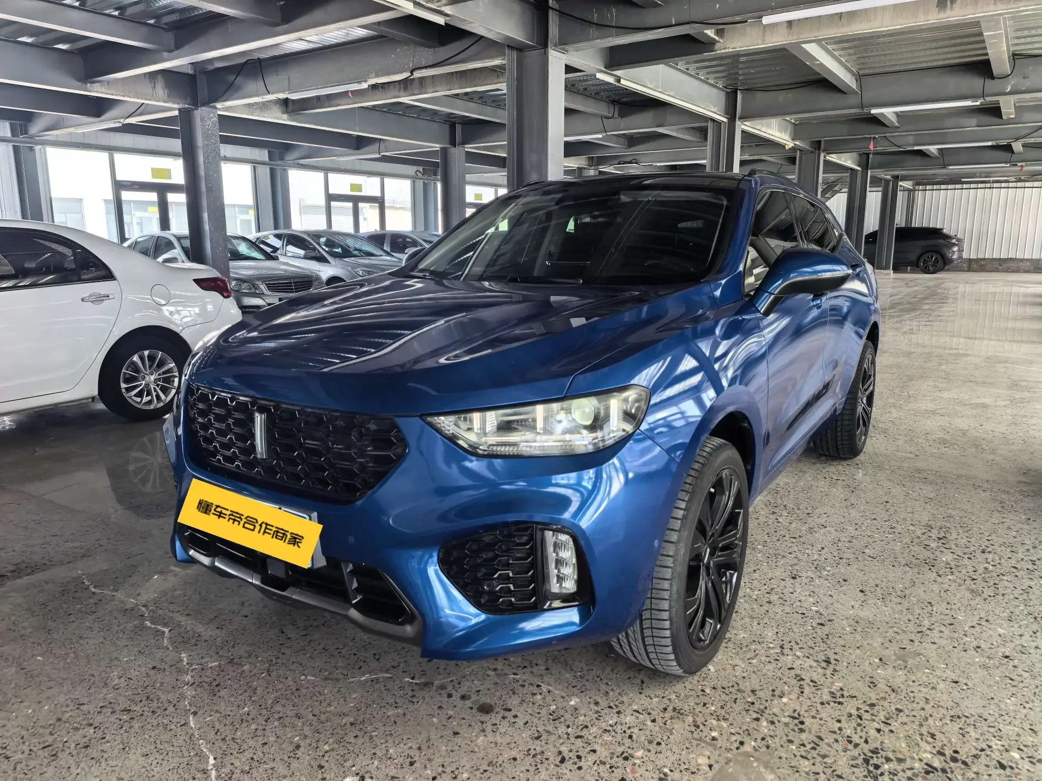 Wey Wei brand VV5