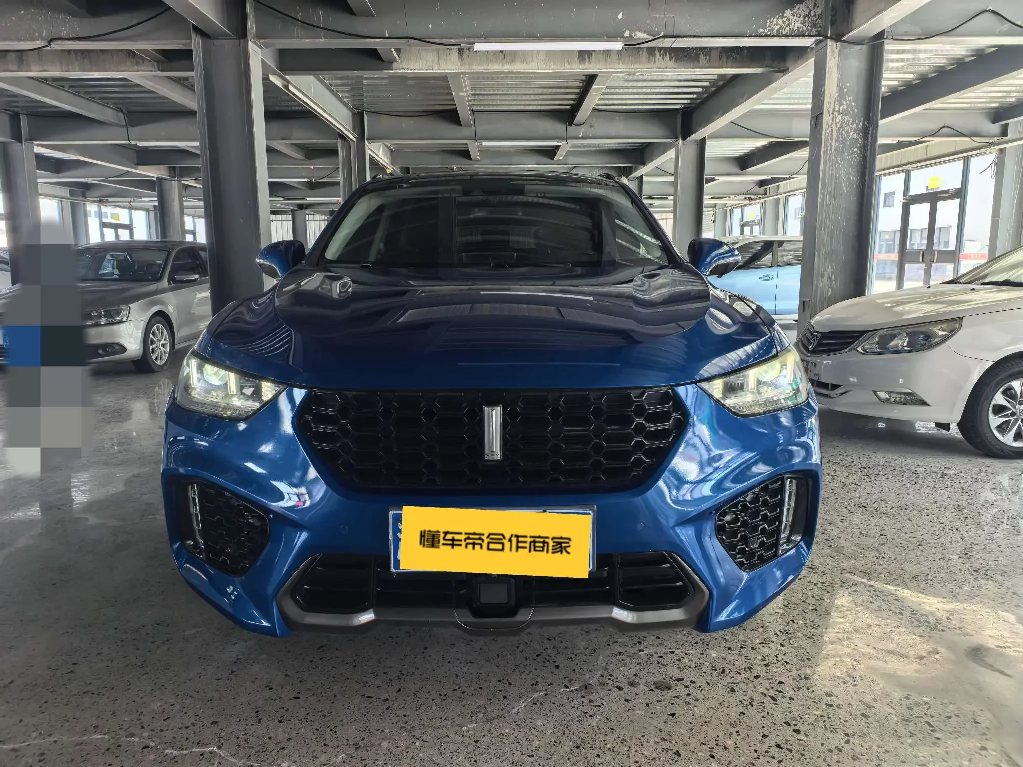 Wey Wei brand VV5