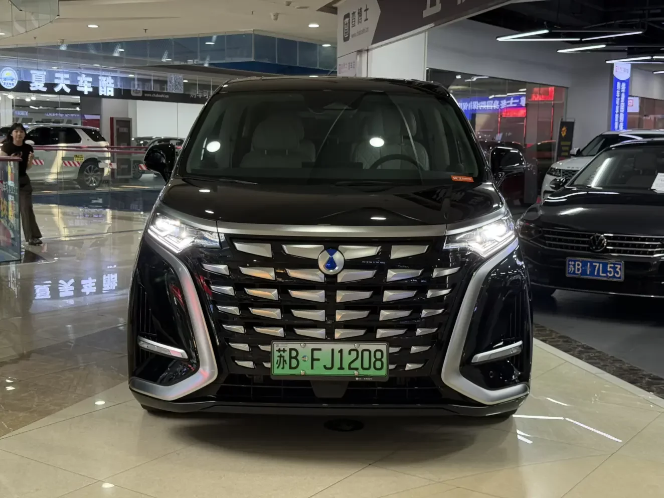Denza D9 DM