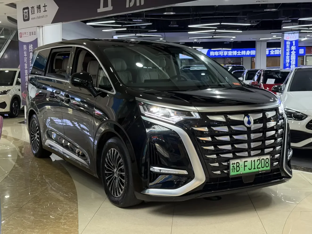 Denza D9 DM