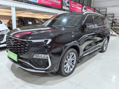 Ford Lingyu