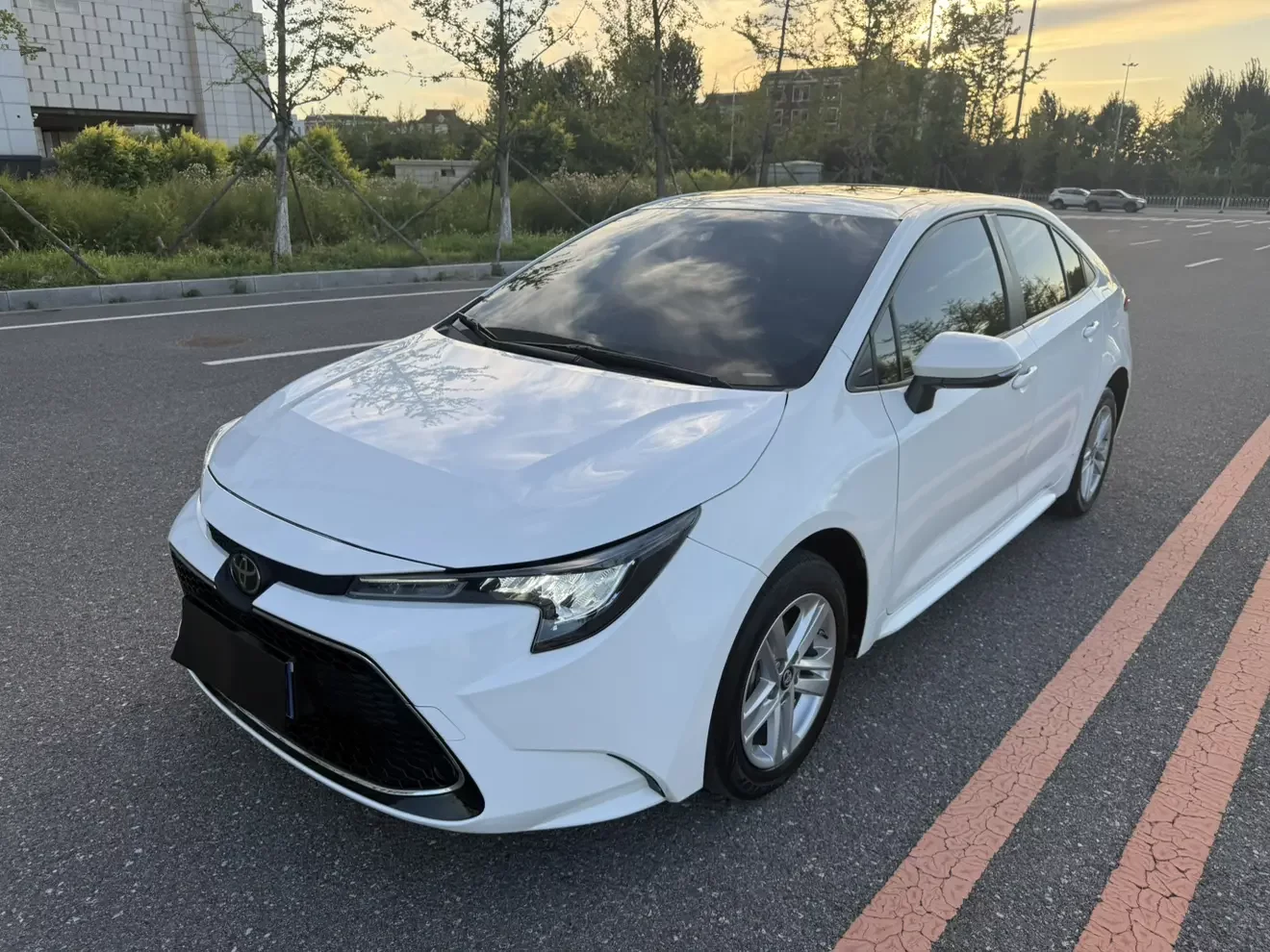 Toyota Levin (Lei Ling)